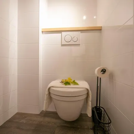 Apartamento Résidence Grand Roc - Ancolies 207 - Happy Chamonix Mont Blanc